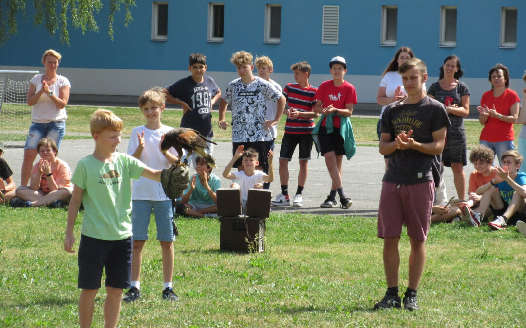 Dravci ve škole