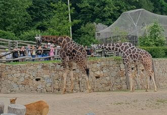 Školní družina v ZOO