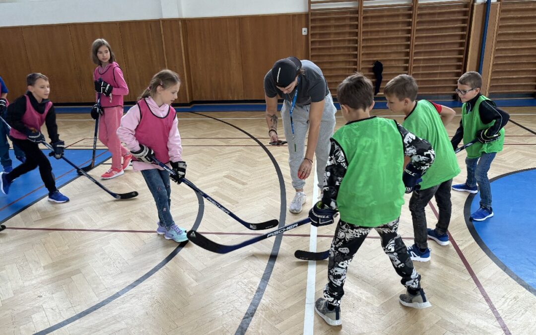 ŠD – Hokejbalový turnaj