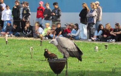 Dravci ve škole